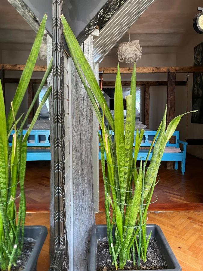 Apartamente A La Cluj 外观 照片